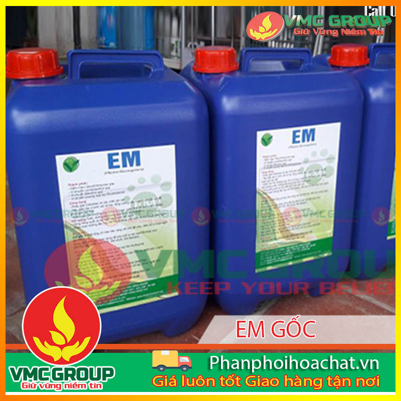 men-vi-sinh-em-goc-pphcvm men-vi-sinh-em-goc-pphcvm