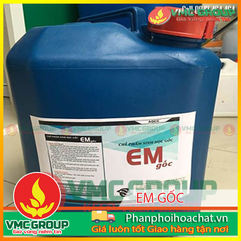 men-vi-sinh-em-goc-pphcvm-2 men-vi-sinh-em-goc-pphcvm-2