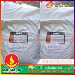 Polymer Cation