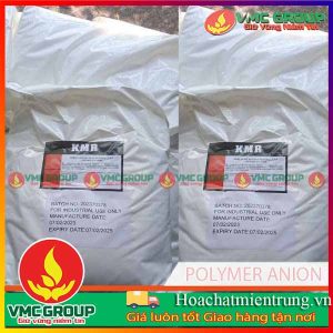 POLYMER ANION A1120