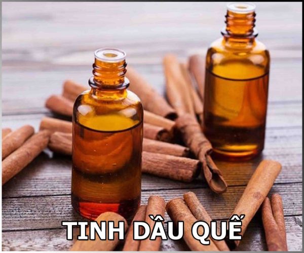 tinh-dau-que-600x500 TINH DẦU QUẾ TỰ NHIÊN