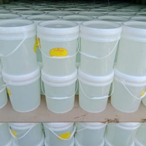 ĐƯỜNG MẠCH NHA