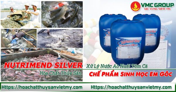 z2400561693229_745ab3d1066a73381049bd3c62eb8375-600x314 CHẾ PHẨM SINH HỌC EM GỐC