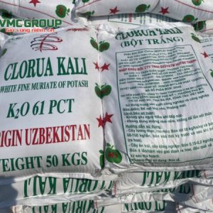 KALI CLORUA – POTASSIUM CHLORIDE (KCL)