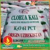 KALI UZBEKISTAN