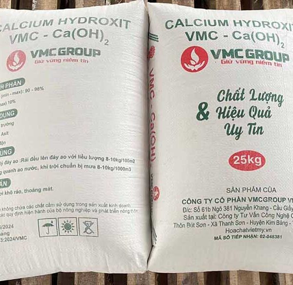 VOI-TOI-CALCIUM-HYDROXIT-VMC-CAOH2-VIET-NAM-BAO-25KG-600x584 Calcium hydroxit