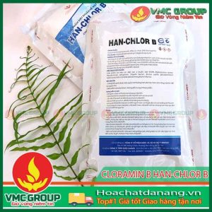 CHẾ PHẨM DIỆT KHUẨN BỀ MẶT CLORAMIN B HAN-CHLOR B